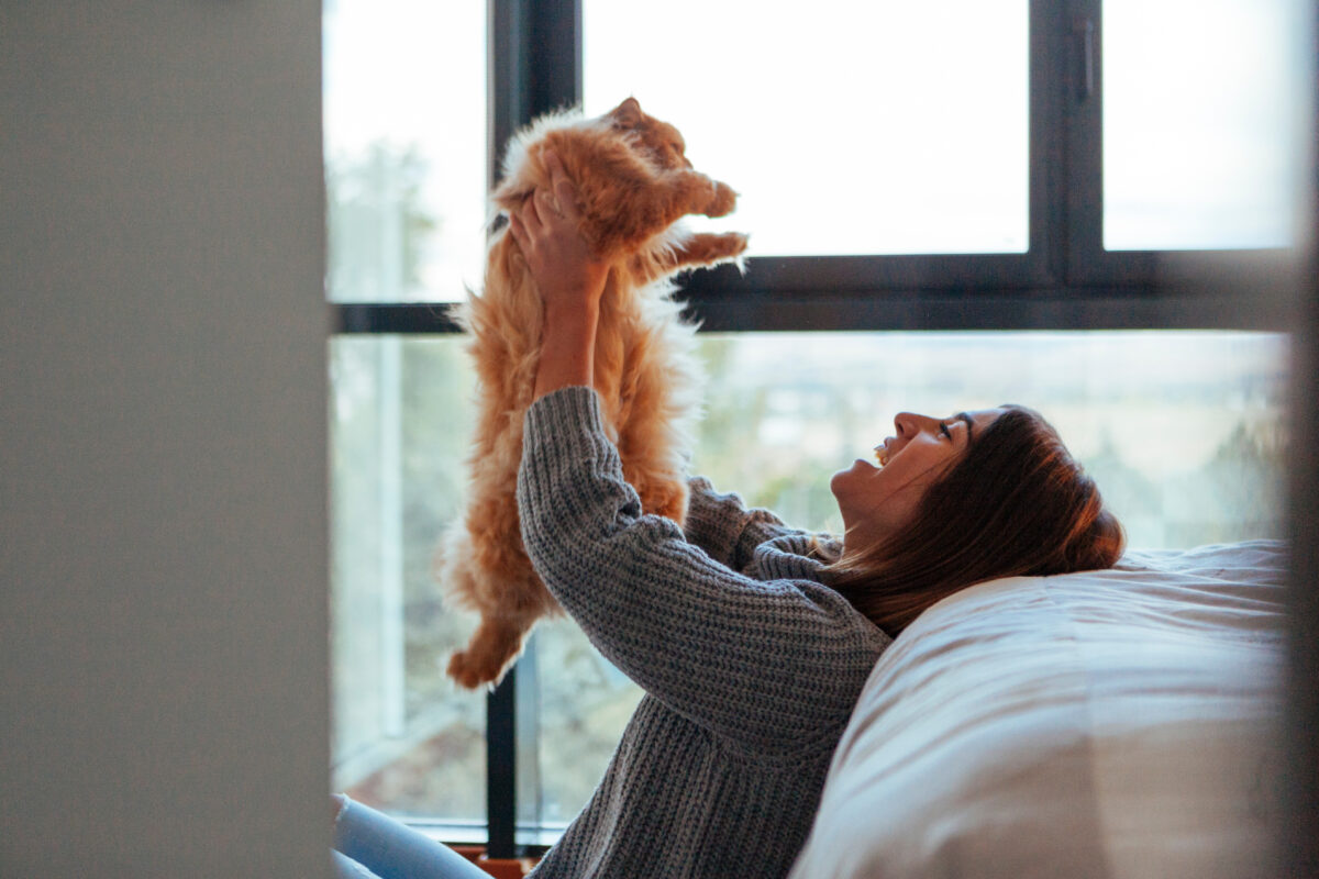 woman playing with a cat